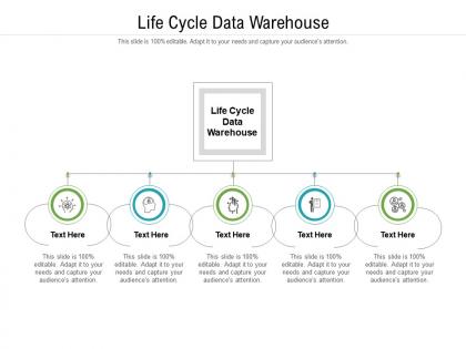 Life cycle data warehouse ppt powerpoint presentation file information cpb