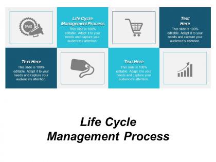 Life cycle management process ppt powerpoint presentation layouts themes cpb