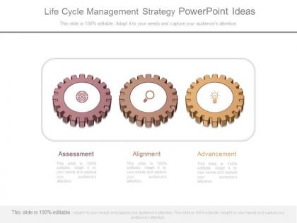 Life cycle management strategy powerpoint ideas