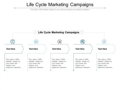 Life cycle marketing campaigns ppt powerpoint presentation professional icon cpb