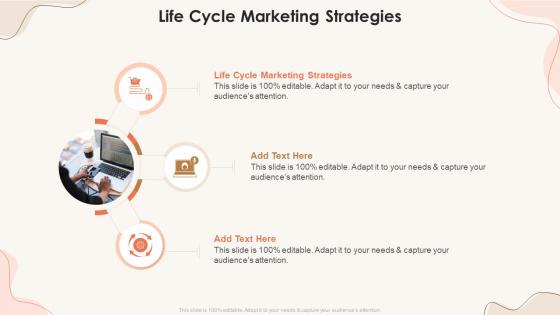 Life Cycle Marketing Strategies In Powerpoint And Google Slides Cpb