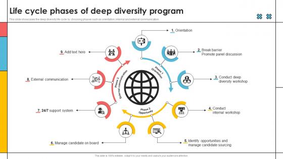 Life Cycle Phases Of Deep Diversity Program