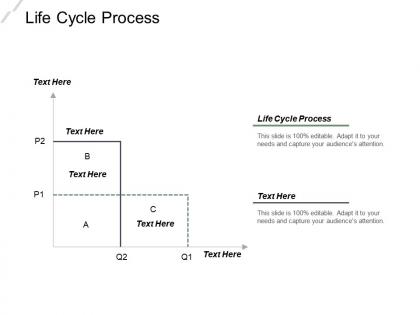 Life cycle process ppt powerpoint presentation infographic template ideas cpb