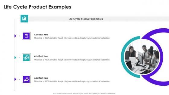 Life Cycle Product Examples In Powerpoint And Google Slides Cpb