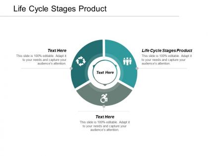 Life cycle stages product ppt powerpoint presentation infographic template information cpb