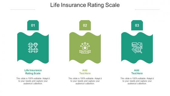 Life Insurance Rating Scale Ppt Powerpoint Presentation Inspiration Brochure Cpb