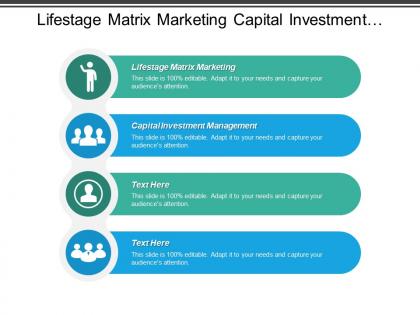 Life stage matrix marketing capital investment management capital investment cpb