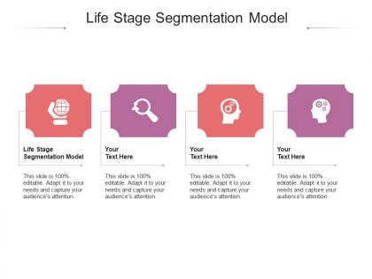 Life stage segmentation model ppt powerpoint presentation ideas icons cpb