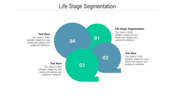 Life stage segmentation ppt powerpoint presentation professional ideas cpb