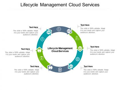 Lifecycle management cloud services ppt powerpoint presentation visual aids gallery cpb