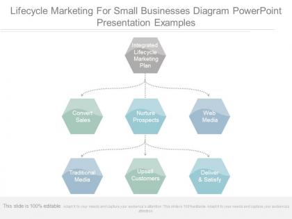 Lifecycle marketing for small businesses diagram powerpoint presentation examples