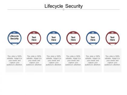 Lifecycle security ppt powerpoint presentation summary cpb