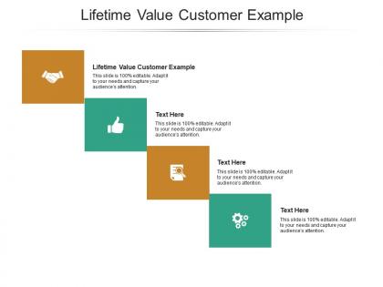 Lifetime value customer example ppt powerpoint presentation pictures portrait cpb