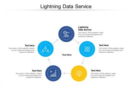 Lightning data service ppt powerpoint presentation summary example introduction cpb