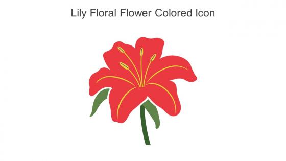 Lily Floral Flower Colored Icon In Powerpoint Pptx Png And Editable Eps Format