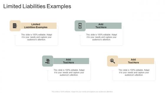 Limited Liabilities Examples In Powerpoint And Google Slides Cpb