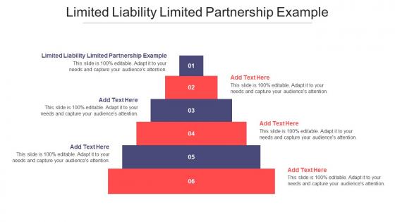 Limited Liability Limited Partnership Example Ppt Powerpoint Presentation Styles Cpb