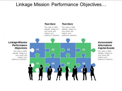 Linkage mission performance objectives assessment alternatives capital assets