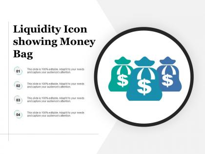 Liquidity icon showing money bag