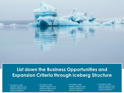 List down the business opportunities and expansion criteria through iceberg structure