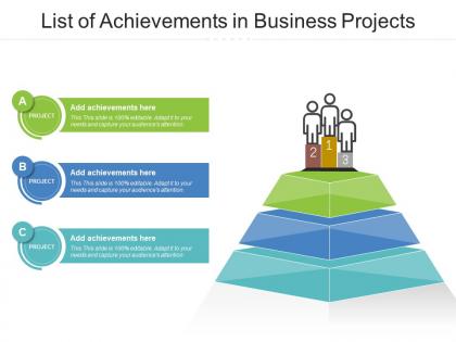 List of achievements in business projects