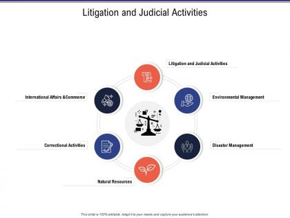 Litigation and judicial activities business investigation