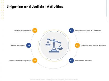 Litigation and judicial activities international affairs ppt powerpoint professional
