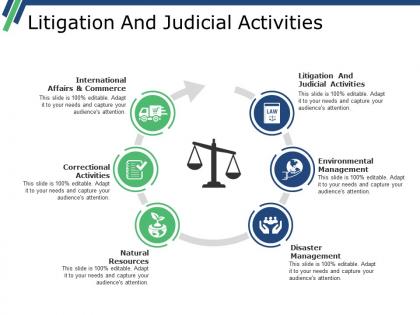 Litigation and judicial activities ppt examples slides