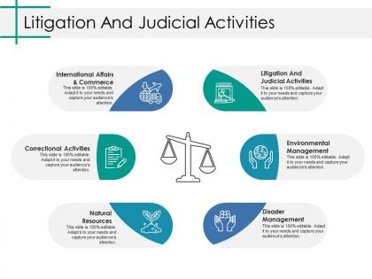 Litigation and judicial activities ppt portfolio background images