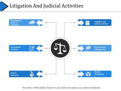 Litigation and judicial activities presentation examples