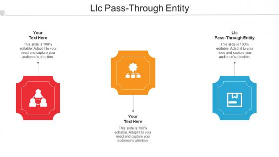 LLC Pass Through Entity Ppt Powerpoint Presentation Show Example File Cpb