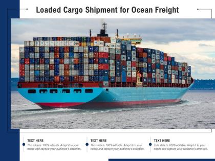 Loaded cargo shipment for ocean freight