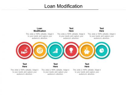 Loan modification ppt powerpoint presentation portfolio model cpb
