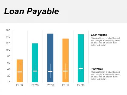 Loan payable ppt powerpoint presentation file show cpb