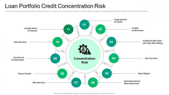 Loan Portfolio Credit Concentration Risk