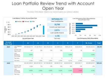 Loan portfolio review trend with account open year