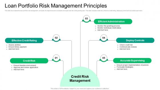 Loan Portfolio Risk Management Principles