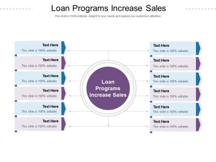 Loan programs increase sales ppt powerpoint presentation infographics professional cpb