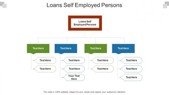 Loans self employed persons ppt powerpoint presentation summary professional cpb