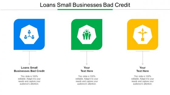 Loans Small Businesses Bad Credit Ppt Powerpoint Presentation Professional Examples Cpb
