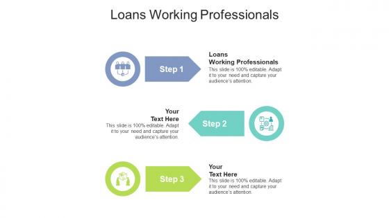 Loans working professionals ppt powerpoint presentation outline pictures cpb