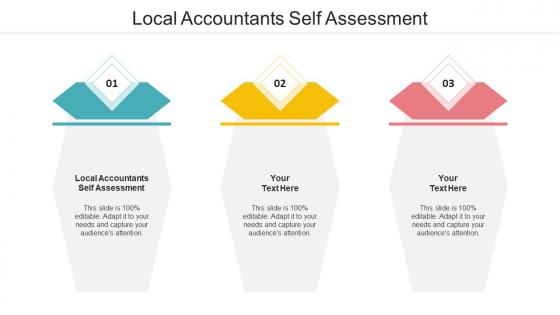 Local Accountants Self Assessment Ppt Powerpoint Presentation Show Objects Cpb