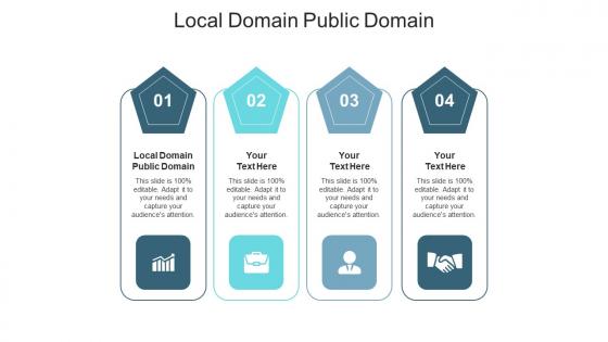 Local domain public domain ppt powerpoint presentation model examples cpb