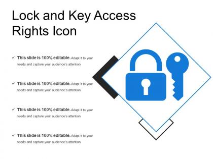 Lock and key access rights icon