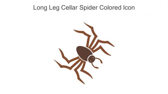 Long Leg Cellar Spider Colored Icon In Powerpoint Pptx Png And Editable Eps Format