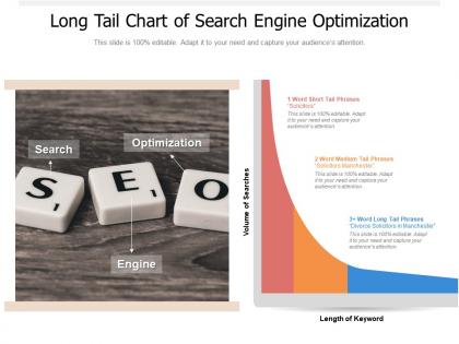 Long tail chart of search engine optimization