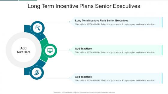 Long Term Incentive Plans Senior Executives In Powerpoint And Google Slides Cpb
