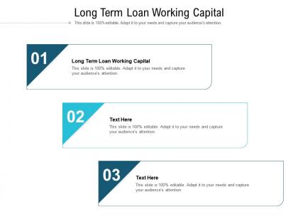 Long term loan working capital ppt powerpoint presentation icon styles cpb
