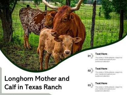 Longhorn mother and calf in texas ranch
