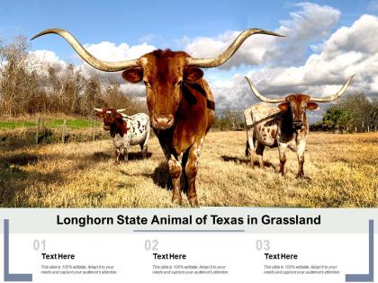 Longhorn state animal of texas in grassland